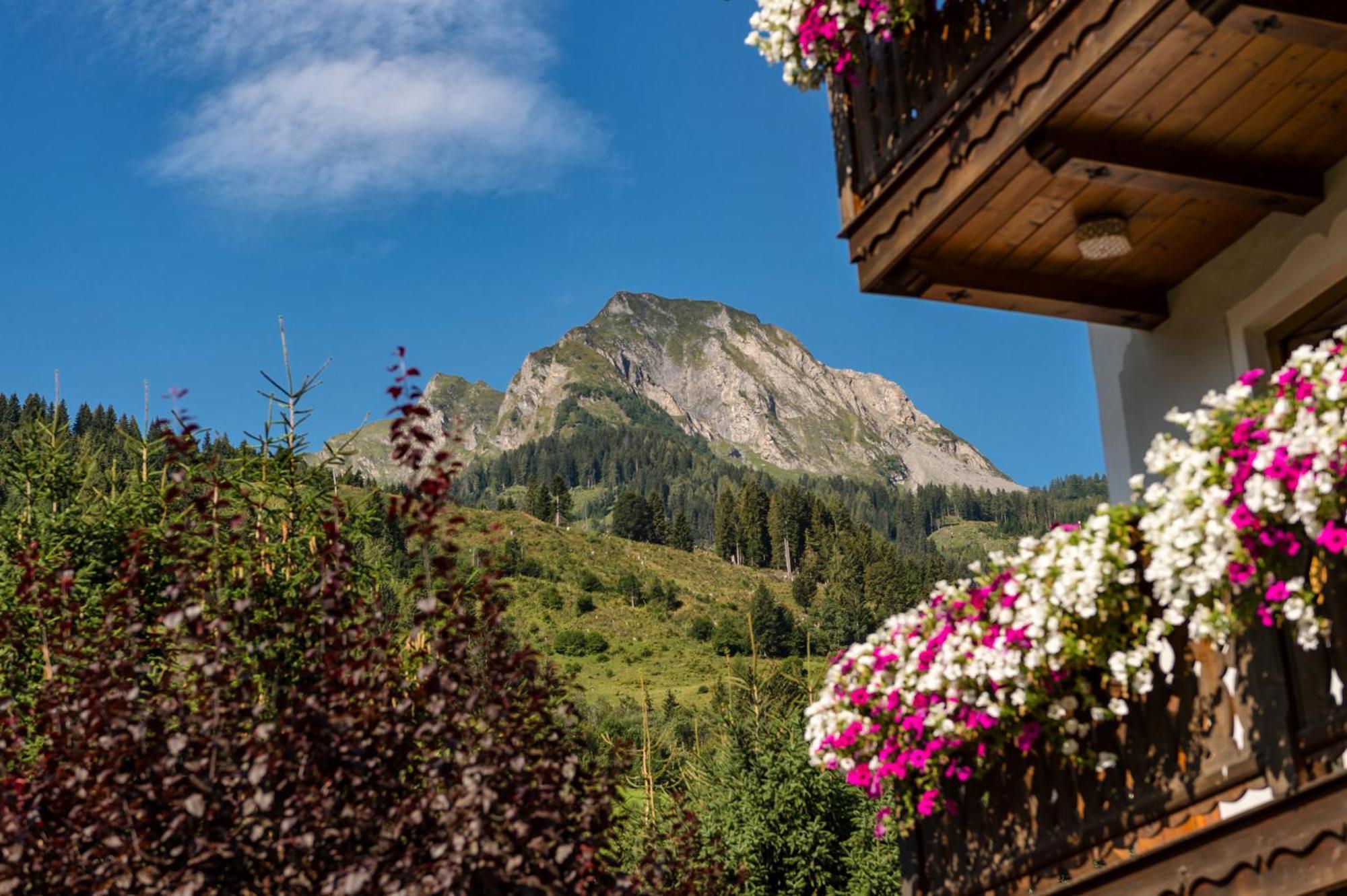 Bauernhofhotel "Die Unterbergerin" - Zimmer Mit Fruehstueck Und Ferienwohnungen In Gastein Mit Gratis Thermeneintritt دورفغاستين المظهر الخارجي الصورة