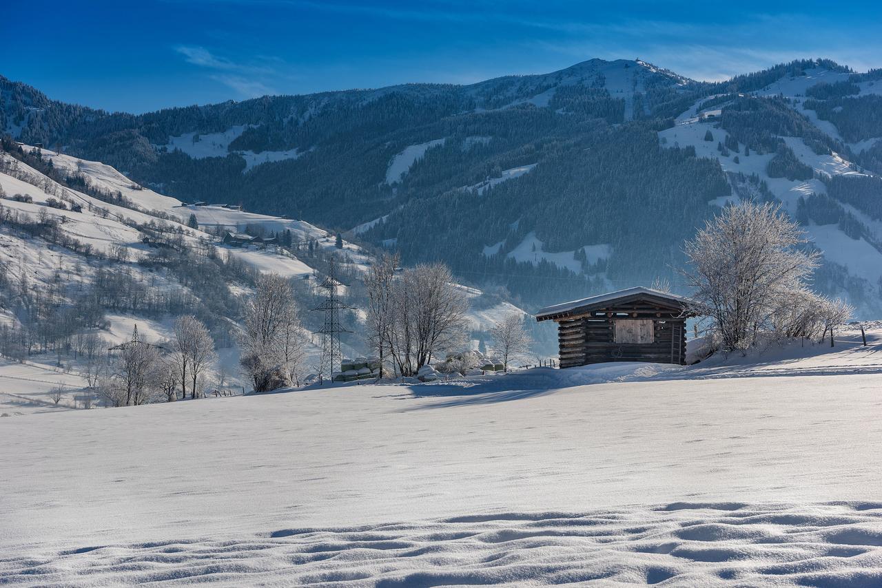 Bauernhofhotel "Die Unterbergerin" - Zimmer Mit Fruehstueck Und Ferienwohnungen In Gastein Mit Gratis Thermeneintritt دورفغاستين المظهر الخارجي الصورة