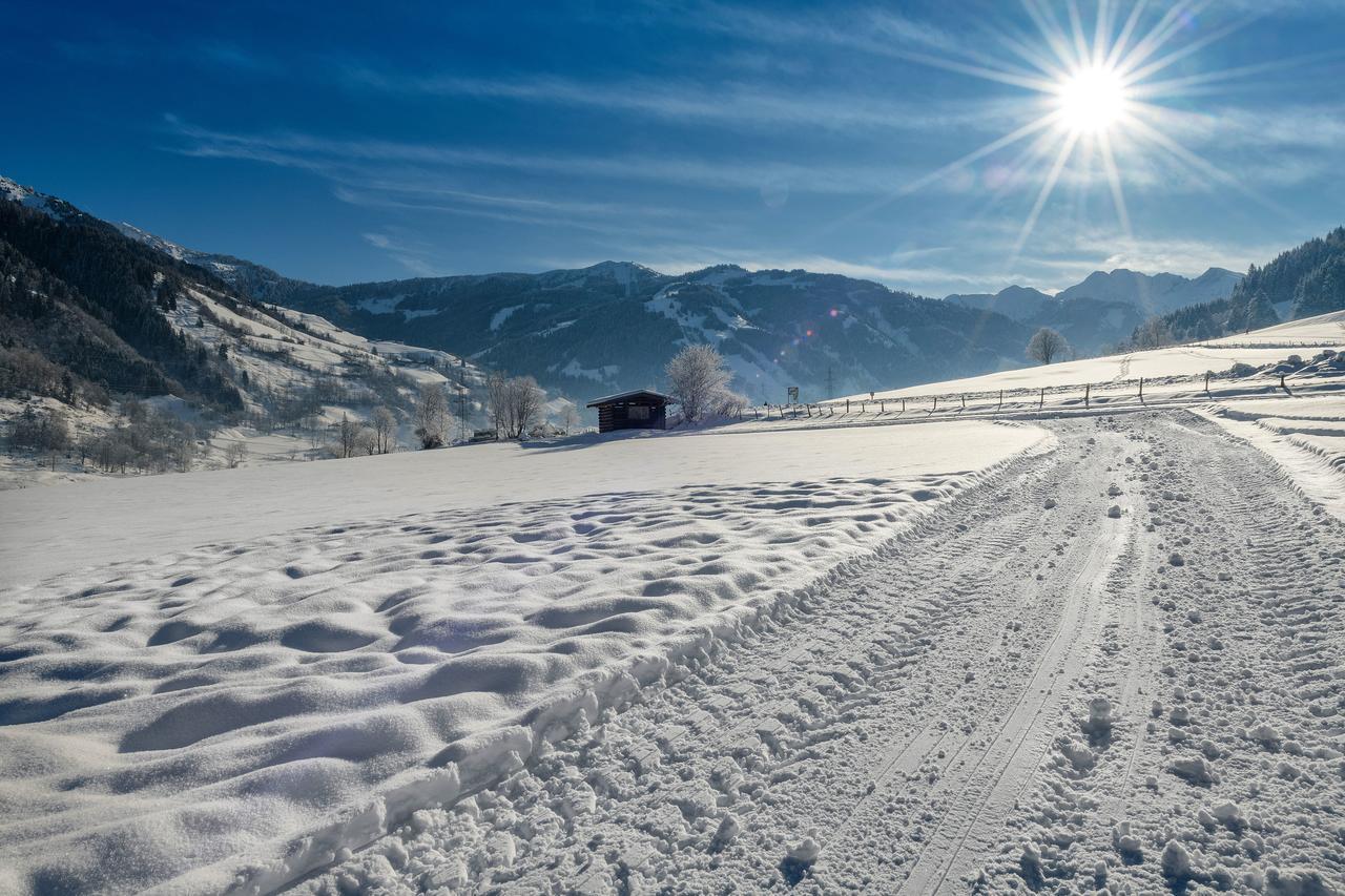 Bauernhofhotel "Die Unterbergerin" - Zimmer Mit Fruehstueck Und Ferienwohnungen In Gastein Mit Gratis Thermeneintritt دورفغاستين المظهر الخارجي الصورة